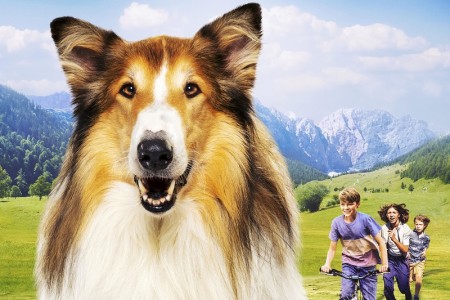 Lassie - Ein neues Abenteuer - © Leonine