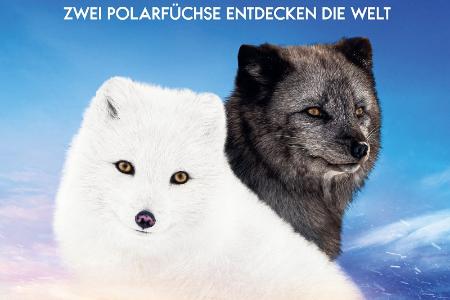 Die Abenteuer von Kina & Yuk